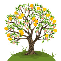 Lemon tree isolate on a white background. Vector graphics.