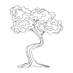 Japanese bonsai tree. Isolated black outline on a white background.