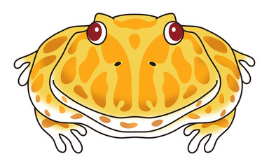 ベルツノガエル キャラクター イラスト