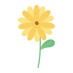 flower stem petal decoration isolated icon design