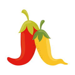 chili pepper ingredient food cinco de mayo mexican celebration flat style icon