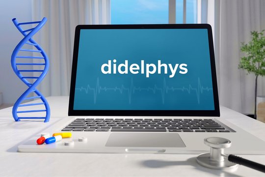 didelphys – Medizin, Gesundheit. Computer im Büro mit Begriff auf dem Bildschirm. Arzt, Krankheit, Gesundheitswesen