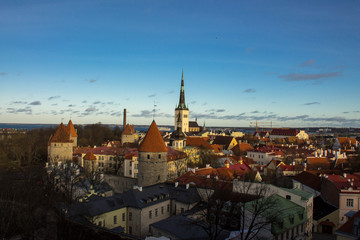 tallin, medieval city 