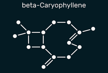 Caryophyllene, beta-Caryophyllene, C15H24 molecule. It is natural bicyclic sesquiterpene that is a constituent of many essential oils. Structural chemical formula on the dark blue background