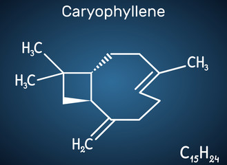 Caryophyllene, beta-Caryophyllene, C15H24 molecule. It is natural bicyclic sesquiterpene that is a constituent of many essential oils. Structural chemical formula on the dark blue background