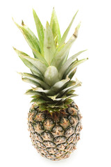 Fototapeta premium single whole pineapple isolated on white background