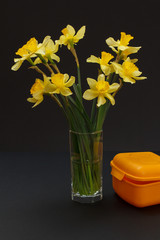 Bouquet of yellow daffodils in vase on a black background.