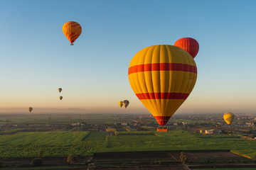 Obraz premium Hot air Balloons above Luxor city in a morning , Upper Egypt