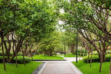 path in the park