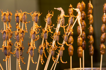 Scorpions and seahorses on sticks, Beijing, China