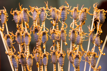 Scorpions on sticks