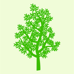 Fototapeta premium vector tree sorts with a white background