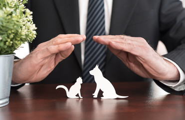 Concept of pet insurance