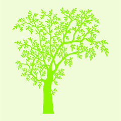vector tree sorts with a white background