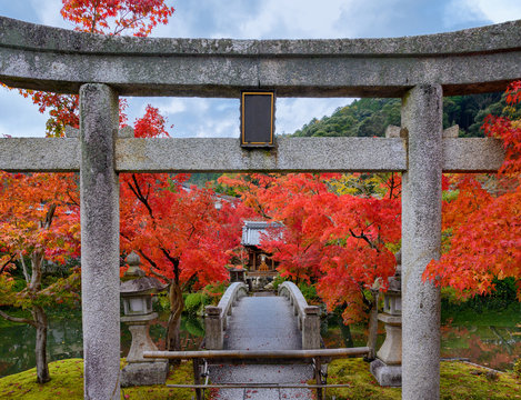 Eikando temple foliage in Kyoto, Japan.