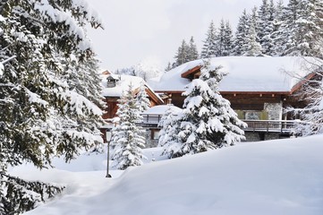 Winter scenery with chalet and pine trees under snow 