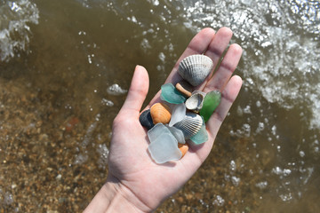 many shells in the hand