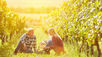 Couple having picnic with wine in the vineyard