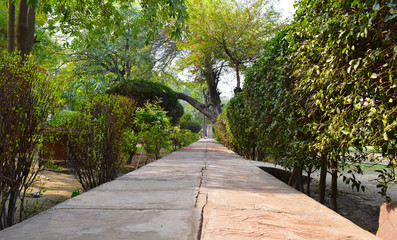 Jogging Track in The Green Park. Day Photograph