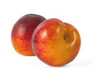two ripe juicy plums isolated on white background