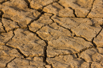 Dry land during long period without any rainfall. Cracks on the ground, detail of damaged soil.