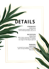 Evergreen palm leaves adventure poster design in vector. Jungle plant background. Floral motifs graphics. Vector