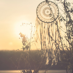 Silhouettes of dream catcher and plants. Creative activities and nature for relaxation. 