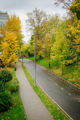 Autumn leaves in the city on the park paths