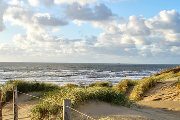 Fototapeta na wymiar Dunes with marram grass at the beach of Bloemendaal aan Zee, Holland, Netherlands