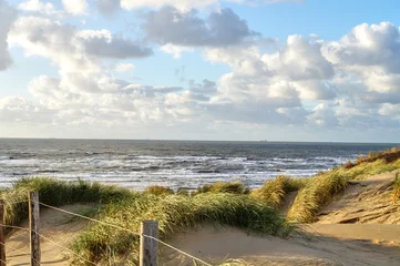 Gordijnen Duinen met helmgras op het strand van Bloemendaal aan Zee, Holland, Nederland © Fotografie-Schmidt