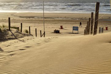 Sunset Dunes at the beach of Bloemendaal aan Zee , Holland, Netherlands - obrazy, fototapety, plakaty