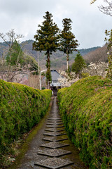 Fototapeta na wymiar Road approaching Hoko-ji temple in Sanda city, Hyogo, Japan
