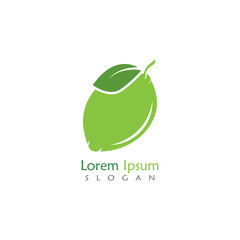 Lime logo design, Isolated lime creative template vector
