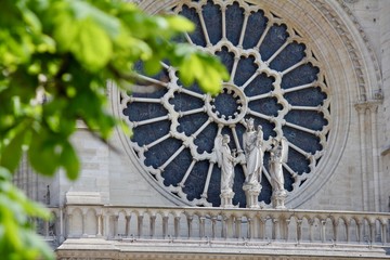 Rosette Statuen Kathedrale