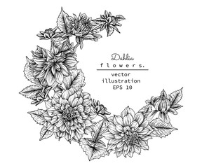 Sketch Floral decorative set. Dahlia flower drawings. Black and white with line art isolated on white backgrounds. Hand Drawn Botanical Illustrations. Elements vector.