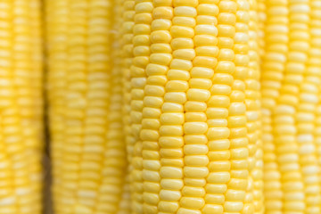 Yellow sweet corn background