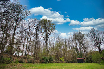 large garden surrounded by woods with a small wooden house