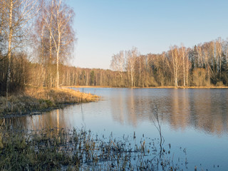 tree reflections in water, early spring landscape