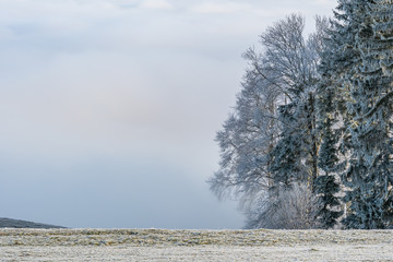 Verschneiter Wanderweg über dem Nebelmeer