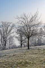 Verschneiter Wanderweg über dem Nebelmeer