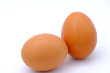 chicken egg isolated on white background
