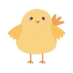 cute chicken animal cartoon isolated icon design