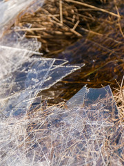 abstract background with dry grass, thin ice and water textures