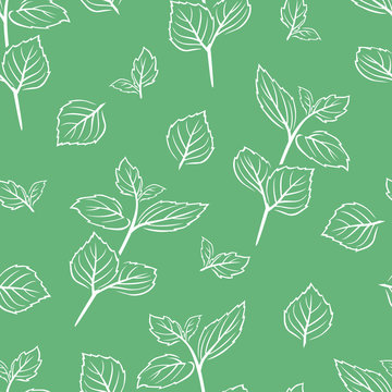 Mint leaf outline seamless pattern on green background. Simple vector monochrome illustration of aromatic herbs. Branches and leaves of peppermint.