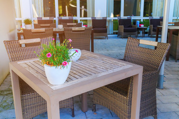 Beautiful pink flower on wooden table in hotel reception, Netherlands
