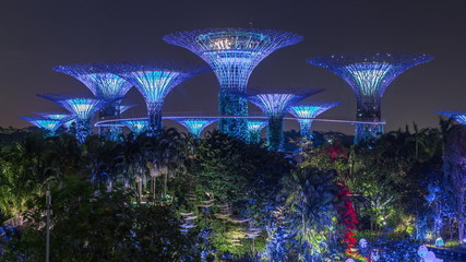 Futuristic view of amazing illumination at Garden by the Bay night timelapse in Singapore.