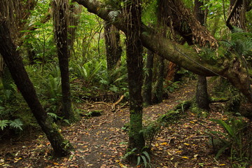 Mores Lookout Track in Riverton,Southland on South Island of New Zealand
