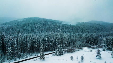 Fototapeta na wymiar Winter Snow coniferous forest Carpathians Ukraine aerial photography.