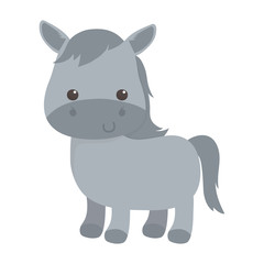 cute little horse cartoon animal isolated icon design