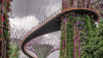 Futuristic view of amazing supertrees at Garden by the Bay timelapse in Singapore.
